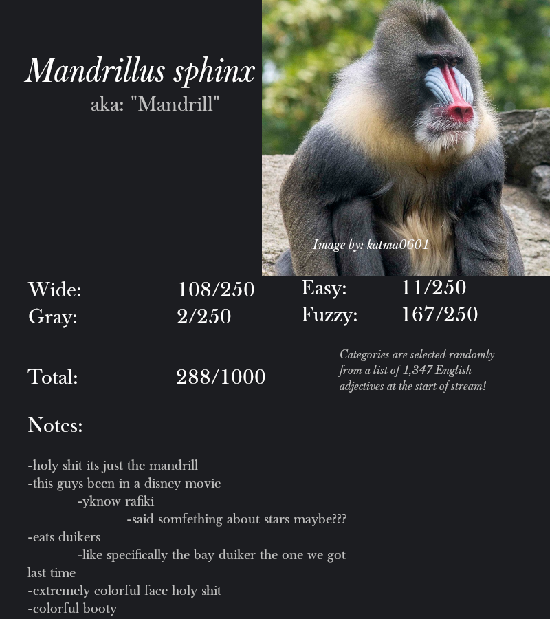 Mandrillus sphinx